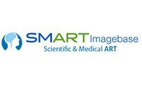 Acceso a Bases de Datos Scientific & Medical Imagebase Imagenes Medicas
